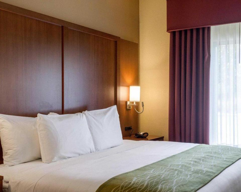 คอมฟอร์ท สวีทส์ Hotel สตาร์ควิลล์ ภายนอก รูปภาพ